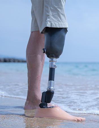 Imagem transtibial